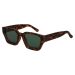 Carve Nova Sunglasses Matt Dark Honey Tort Green