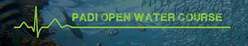 Padi open water diving course